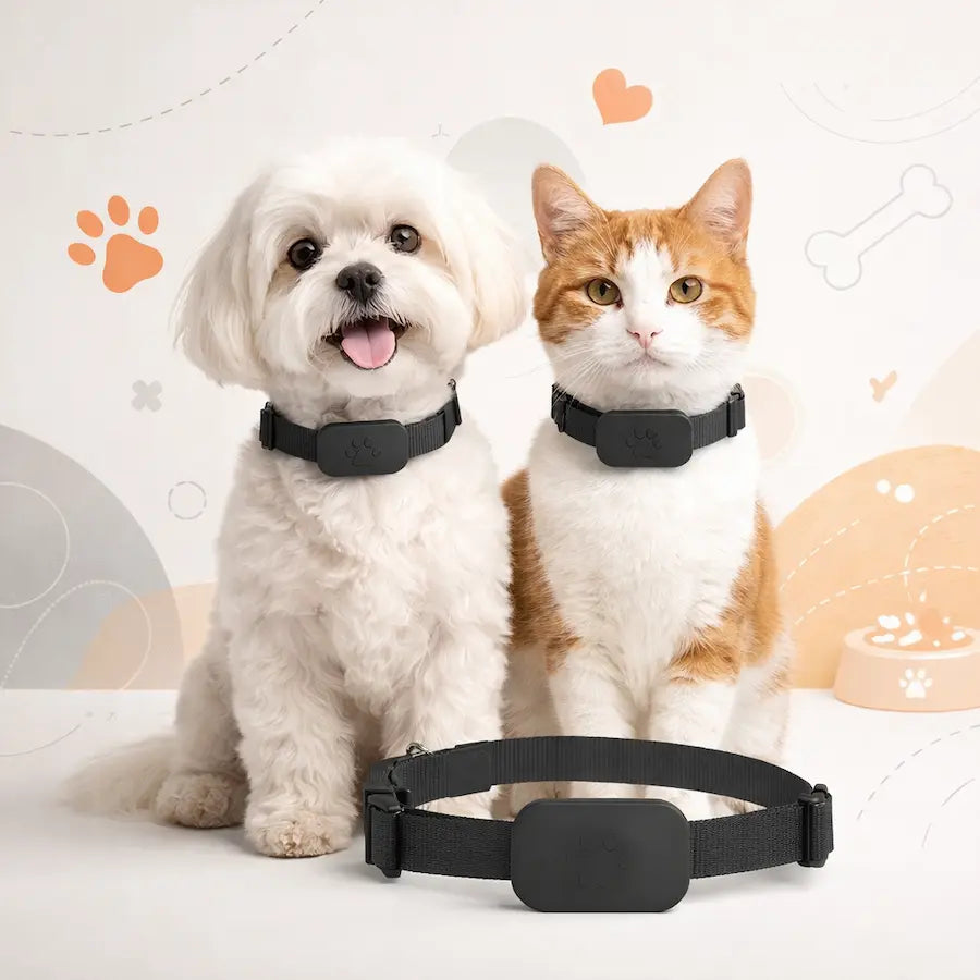 Collare localizzatore per animali